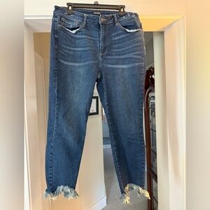 Judy Blue Women's Blue Frayed Hem Jeans size 16W